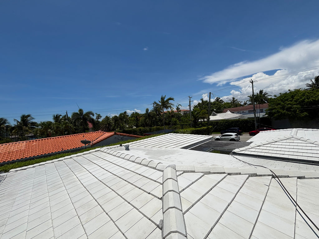 Roof Cleaning – Small